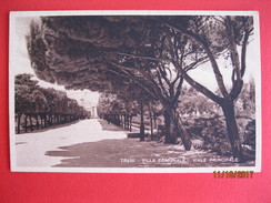 TRANI - VILLA COMUNALE, VIALE PRINCIPALE - Trani