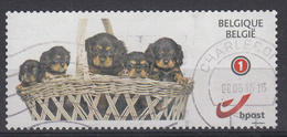 BELGIË - OBP -  2011 -  Type Nr 4183a (Kleine 1) (PUPPY) - Used