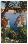 Italie--CAPRI-- Vue De La Côte  N° 12371  éd Trampetti & Migliaccio - Autres & Non Classés