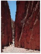 (800) Australia - NT - Standley Chasm - The Red Centre