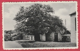 Presgaux- Le Chêne Et La Chapelle ( 1671 ) - 1970 ( Voir Verso ) - Couvin