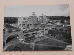 PULDERBOS St. Jozefspreventorium ( Thill ) Anno 1955 ( Zie Foto Details ) ! - Zandhoven