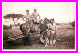 Saint Herblain - Exposition De Photographies Et Cartes Avant 1950 Cpm  ( Scan Recto Et Verso ) - Saint Herblain