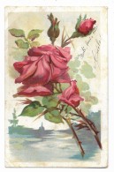 ROSA ILLUSTRATA VINTAGE - PRIMI 900   VIAGGIATA FP - Flowers