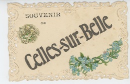 CELLES SUR BELLE - Très Jolie Carte Fantaisie Fleurs "Souvenir De CELLES SUR BELLE " - Celles-sur-Belle