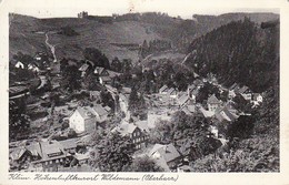 AK Klim. Höhenluftkurort Wildemann - Panorama - 1953 (30966) - Wildemann