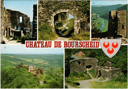 Chateau De Bourscheid - Burscheid