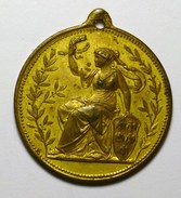 Autriche Austria Österreich 1888 "" Exposition Jubilaire "" PRATER Medal - Oostenrijk