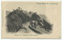 Ruines Du Chateau De Bourscheid Um 1900 - Burscheid