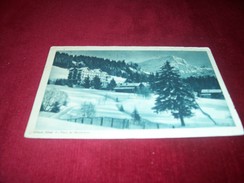 ( SUISSE ' HELVETIA ) VILLARS HOTEL DU PARC ET MUVERANS LE 17 01 1923 - Villars-les-Moines