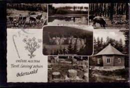 Odenwald - Mehrbildkarte 13   Grüße Aus Dem Fürst Leining'schen Odenwald - Odenwald