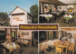 Scheibenhardt Waldgasthof Bienwaldmuehle - Germersheim