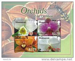 MINT NEVER HINGED MINI SHEETS OF FLOWERS - ORCHIDS   #  M-568-1  (  MONTSERRAT   0810 - Orchids