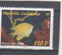 NOUVELLE CALEDONIE N° 1218 ** LUXE - Neufs