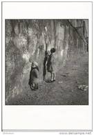 CARTE POSTALE (C) PHOTO ROBERT DOISNEAU / RAPHO REPORTERS SANS FRONTIERES : PARIS 1935 - Doisneau