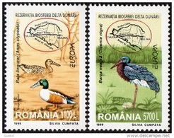 CEPT / Europa 1999 Roumanie N° 4541 Et 4542 ** Réserves Et Parcs Naturels - Canard Souchet Et Cigogne Noire - Carte - 1999