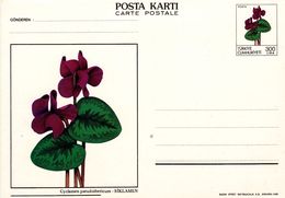 1988 - FLOWERS - CYCLAMEN (Cyclamen Pseudoibericum) - Postal Stationery