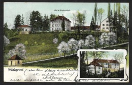 WÄDENSWIL ZH Horgen Obst- Und Weinbauschule 1911 - Horgen