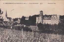 CPA N° 5 Dept 37 BEAUMONT LA RONCE Vue Générale - Beaumont-la-Ronce