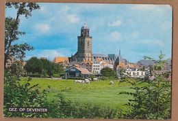 AC - GEZ OP DEVENTER NETHERLANDS CARTE POSTALE POST CARD - Deventer