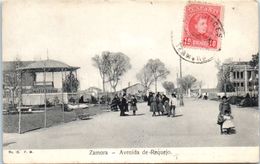 ESPAGNE - ZAMORA --  Avenida De Requejo - Zamora