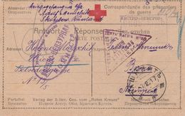 Russie Carte Censurée Prisonnier De Guerre Pour L'Autriche 1917 - Cartas & Documentos