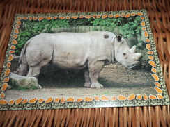 Postkarte Postcard Rhinoceros - Rhinocéros