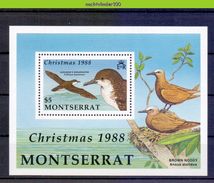 Nbm658 FAUNA VOGELS AUDUBON'S SHEARWATER BROWN NODDY BIRDS VÖGEL AVES OISEAUX MONTSERRAT 1988 PF/MNH - Albatros