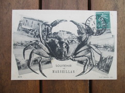 Delcampe - CPA 34 SOUVENIR DE MARSEILLAN CRABE MULTI VUES - Marseillan