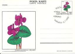 Turkey ; 1988 Postal Stationery - Ganzsachen