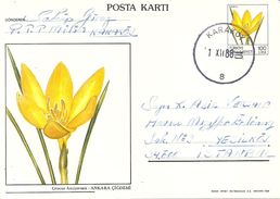 Turkey; 1988 Postal Stationery "Crocus Ancyrensis" - Interi Postali