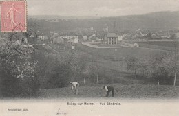 SACCY SUR MARNE     77 SEINE ET MARNE  CPA  VUE GENRALE - Autres & Non Classés