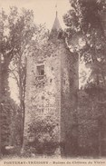 FONTENAY TRESIGNY   77 SEINE ET MARNE  CPA  RUINE DU CHATEAU DU VIVIER - Fontenay Tresigny