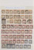 O/Brfst Deutsches Reich - Brustschild: 1872/1874, Toller Bestand Von Ca. 800 Brustschildmarken Auf 30 A4-Ste - Ungebraucht
