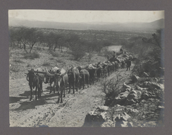 Deutsch-Südwestafrika - Besonderheiten: Deutschsüdwestafrika, Fotoalbum, 44 Fotos/Ansichtskarten  Ei - Africa Tedesca Del Sud-Ovest