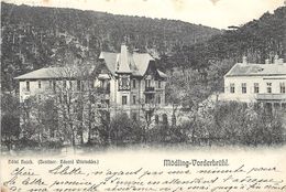 Delcampe - MÖDLING-VODERBRÜHL - Hôtel Hajek. - Mödling