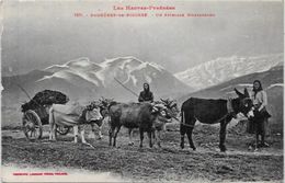 CPA  Attelage Campagne Travaux Des Champs Métier Non Circulé Pyrénées Bagnères De Bigorre Ane Labouche - Teams