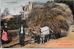 CPA  Attelage Campagne Travaux Des Champs Métier Non Circulé Pyrénées Béarn - Teams