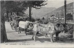 CPA  Attelage Campagne Travaux Des Champs Métier Non Circulé Pyrénées - Wagengespanne