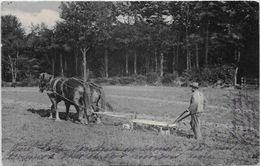 CPA  Attelage Campagne Travaux Des Champs Métier Circulé - Teams