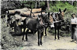 CPSM  Attelage Campagne Travaux Des Champs Métier Landes Mules Bois - Teams