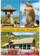 Glockenhütte - Nationalpark 'Nockberge' - Nockalmstraße - Murmeltier -  (Austria) - Gurk