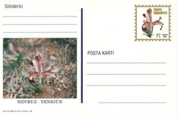 Turkey; 1999 Postal Stationery - Ganzsachen