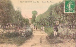 VERT-LE-PETIT   Chemin Des Marais ( Animation) - Vert-le-Petit