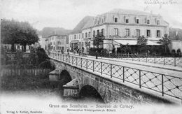 CPA - CERNAY (68) - Gruss Aus - Aspect De L'Hôtel-Restaurant Au Wintergarten( Jardin D'Hiver ) En 1906 - Cernay