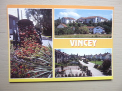 VINCEY - Vosges - Multi Vues - Vincey