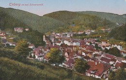 TRIBERG  BADE WURTEMBERG   - CPA  VUE  GENERALE COLORISEE - Andere & Zonder Classificatie