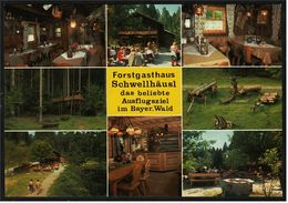 Bei Bayr. Eisenstein : Forstgasthaus Schwellhäusl / Zwieslerwaldhaus  -  Mehrbild-Ansichtskarte Ca.1975    (7480) - Zwiesel