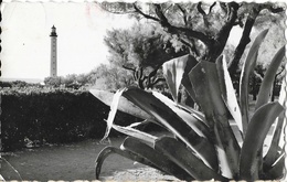 Biarritz, Le Phare Derrière Les Agaves - Edition L. Lavielle - CPSM Dentelée N° 55 - Leuchttürme