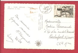 Y&T N°223 POINTE NOIRE    Vers  FRANCE  1955  2 SCANS - Lettres & Documents